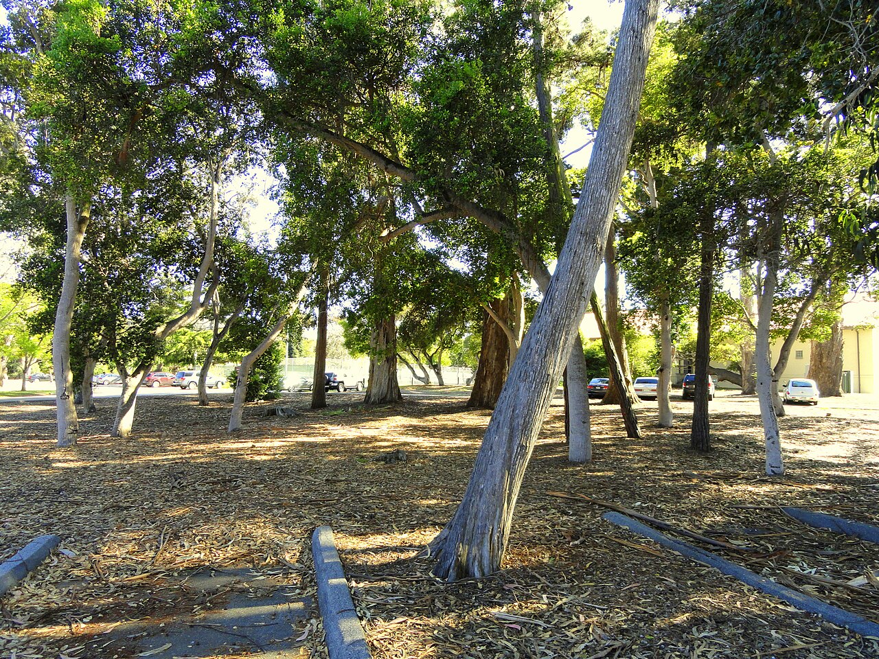 Campus parking lot - Naval Postgraduate School - DSC06818