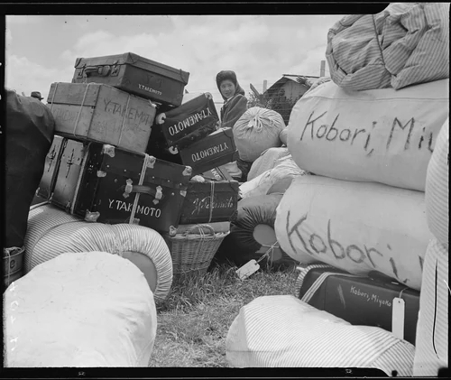 Salinas Assembly center, Salinas, California. A young evacuee of Japanese ancestry at this assembly . . . - NARA - 536162
